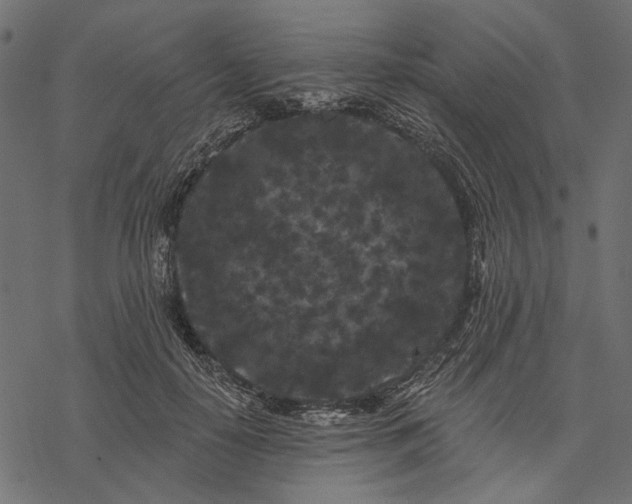 X0000077320650200611031706