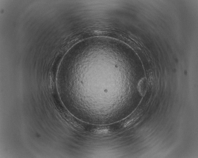 X0000077320651200611031706