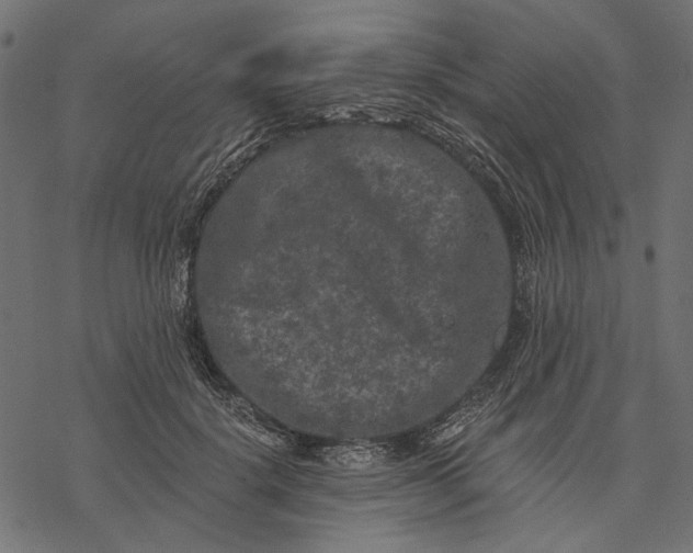 X0000077320652200611031706