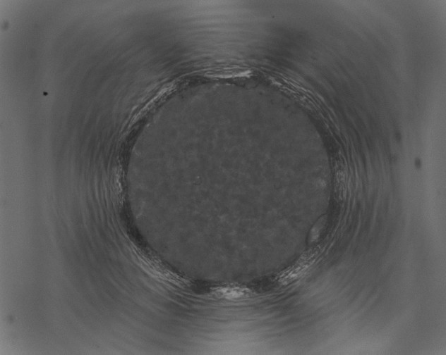 X0000077320654200611031706