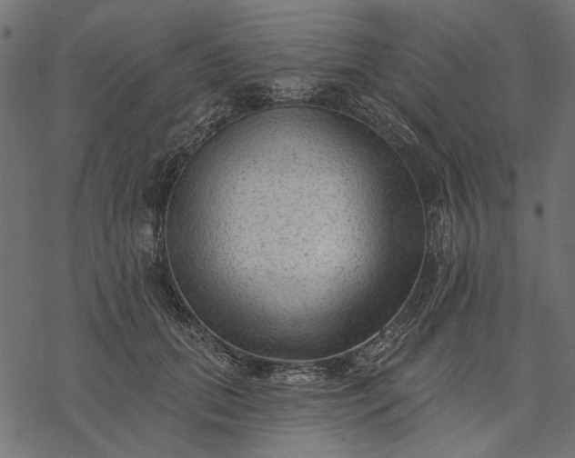 X0000077320655200611031706