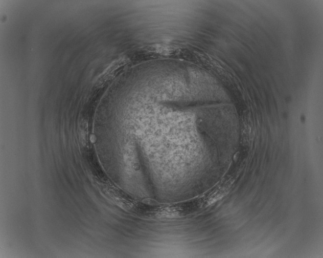 X0000077320656200611031706