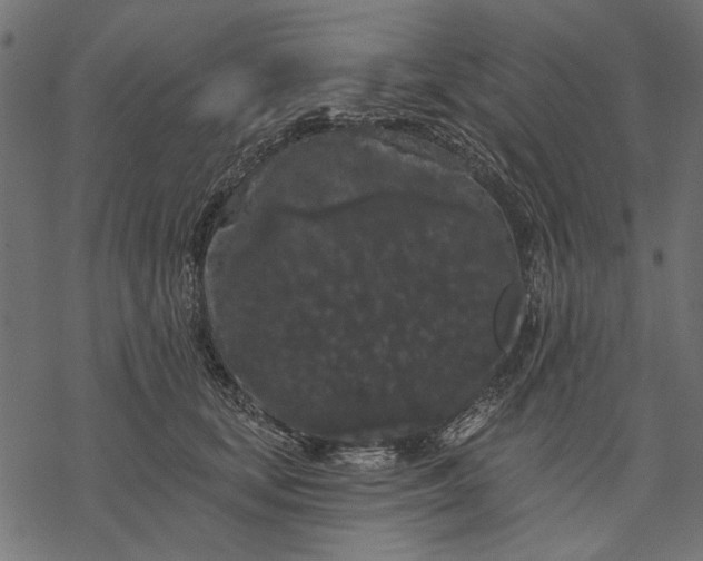 X0000077320659200611031707