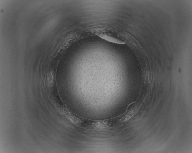 X0000077320660200611031707