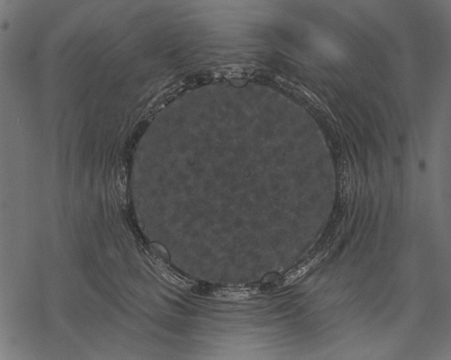 X0000077320661200611031707