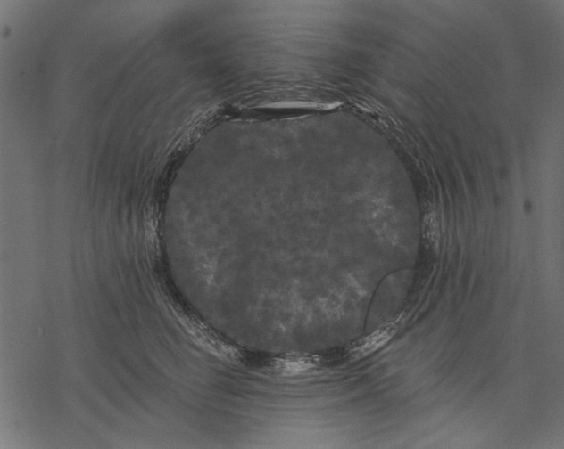 X0000077320662200611031707