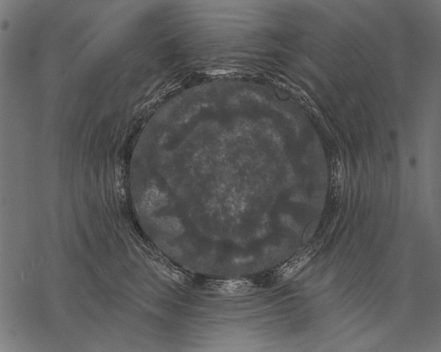 X0000077320663200611031707