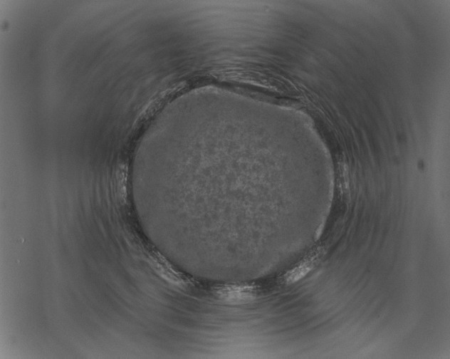 X0000077320664200611031707