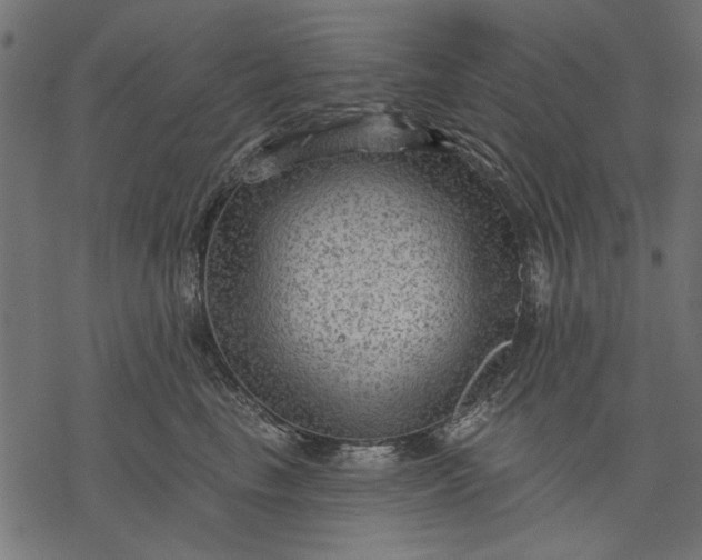 X0000077320665200611031707