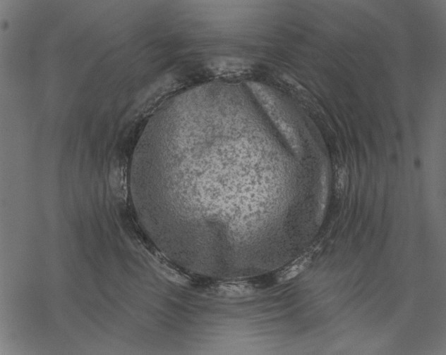 X0000077320666200611031707