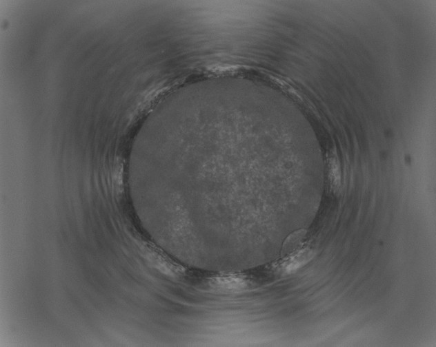 X0000077320668200611031707