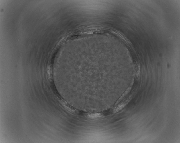 X0000077320669200611031707