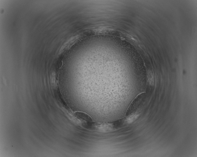 X0000077320670200611031707