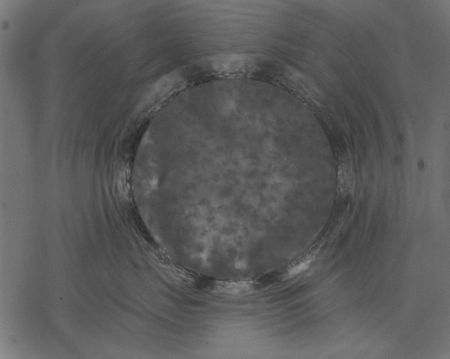 X0000077320671200611031707