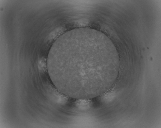 X0000077320672200611031707