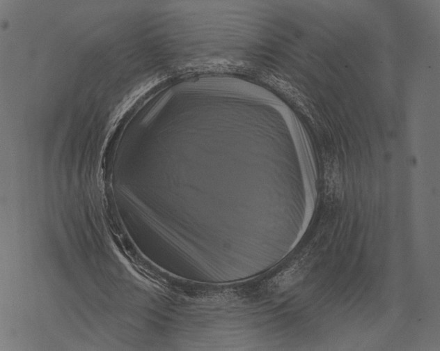 X0000077320674200611031706