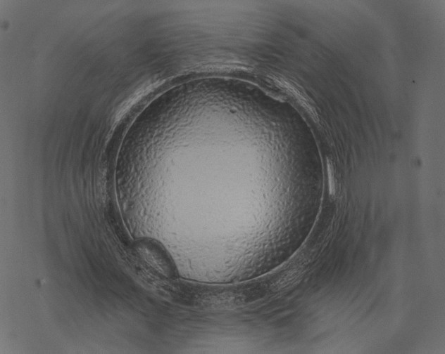 X0000077320675200611031706