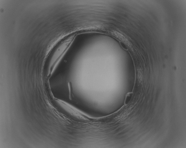 X0000077320676200611031706