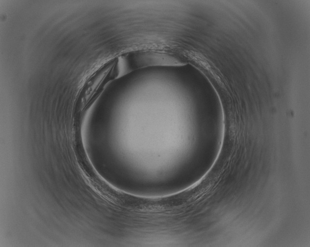 X0000077320677200611031706