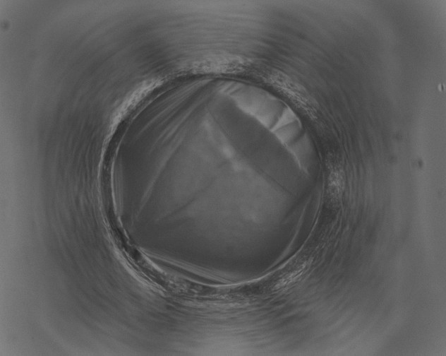 X0000077320678200611031706