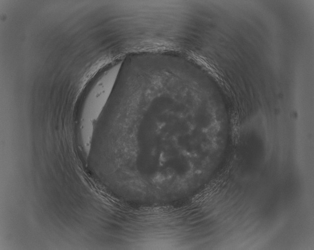 X0000077320679200611031706