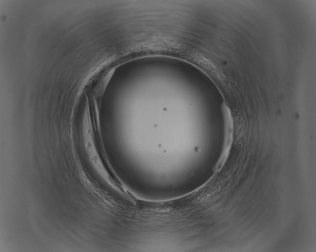 X0000077320680200611031706