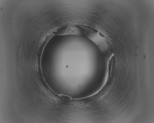 X0000077320681200611031706