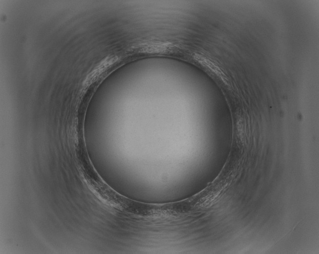 X0000077320682200611031706