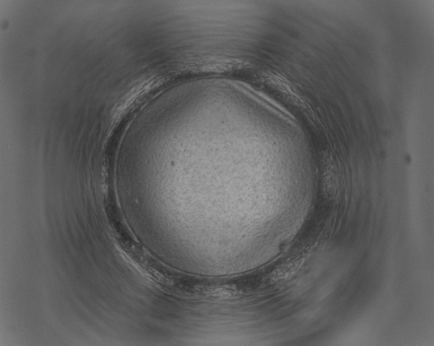 X0000077320683200611031706