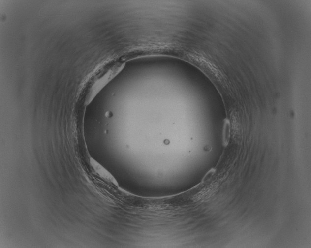 X0000077320684200611031706