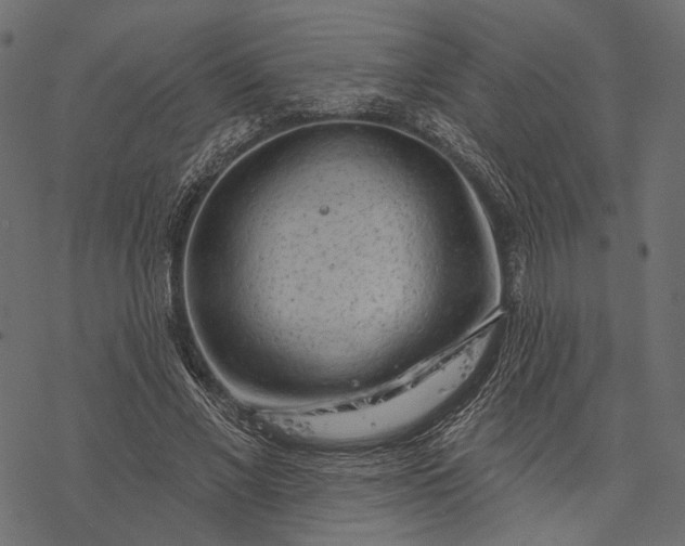 X0000077320685200611031706