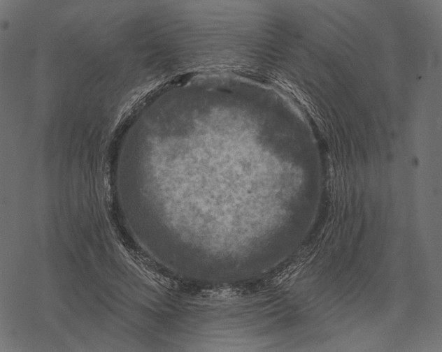 X0000077320688200611031706