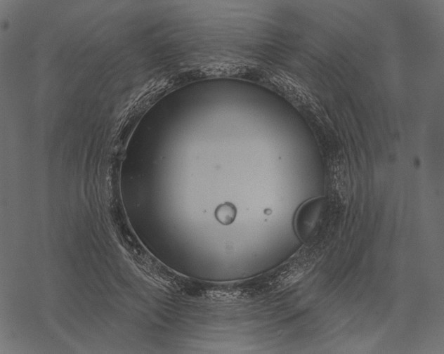 X0000077320690200611031706