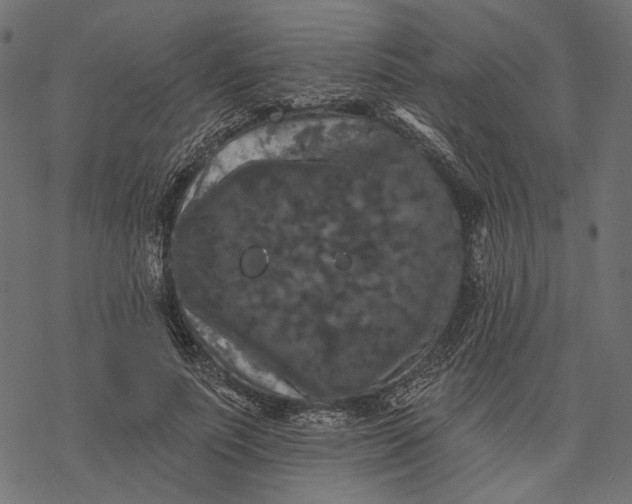 X0000077320691200611031706