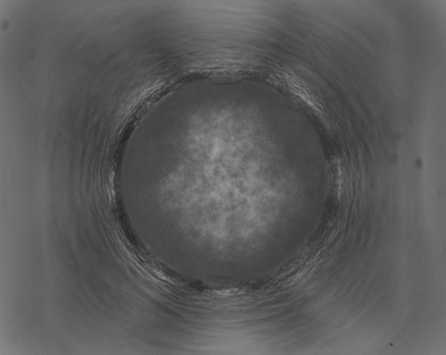 X0000077320692200611031706