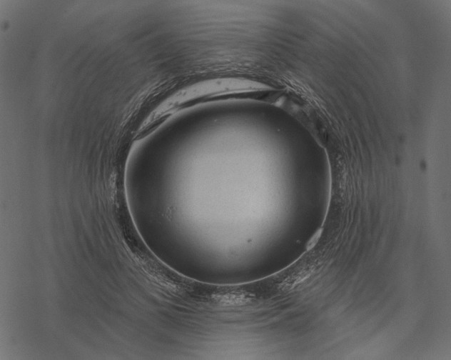 X0000077320693200611031706