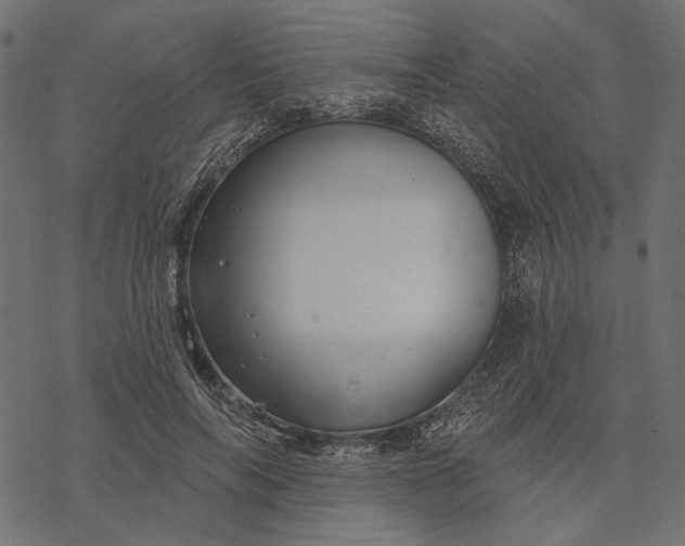 X0000077320694200611031706