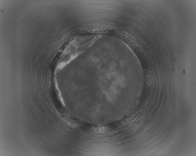 X0000077320695200611031706