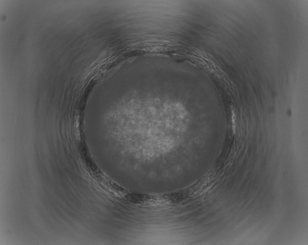 X0000077320696200611031706