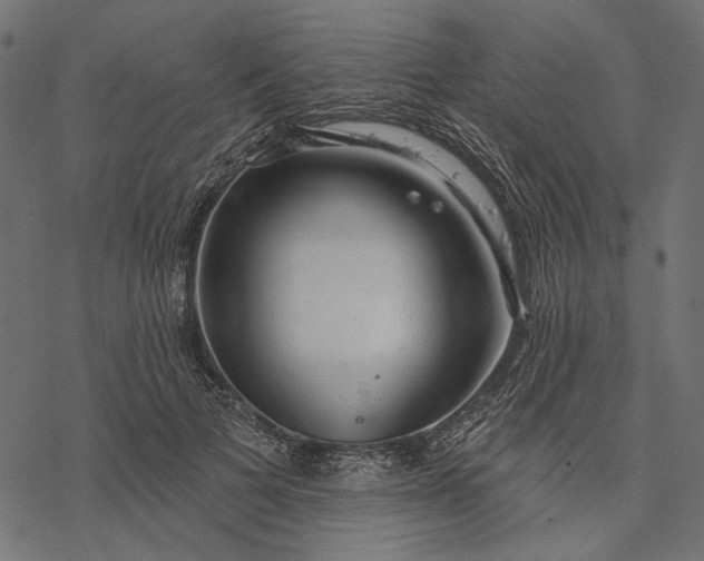 X0000077320697200611031706