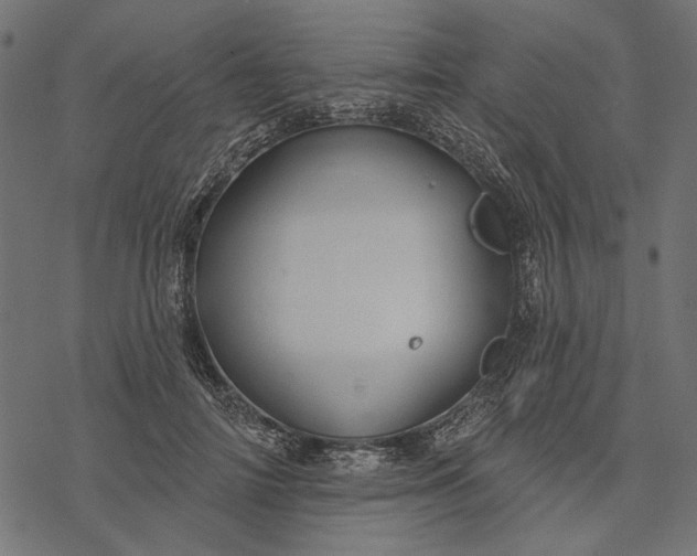 X0000077320698200611031706