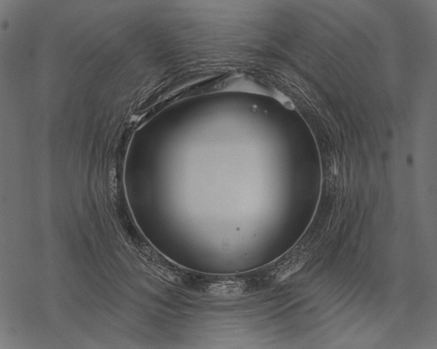 X0000077320700200611031706