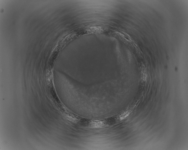 X0000077320701200611031706