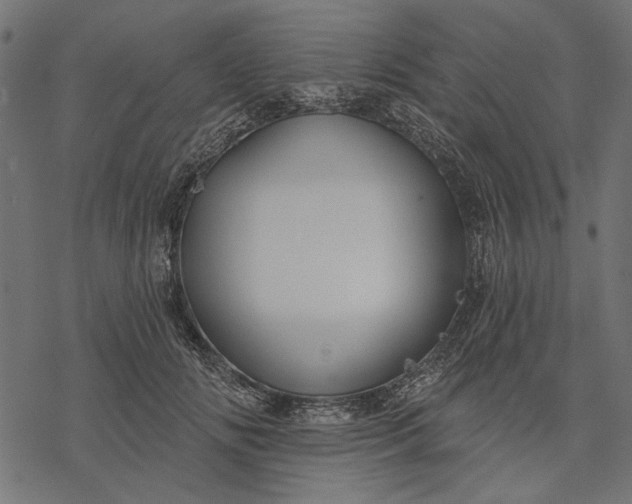 X0000077320702200611031706