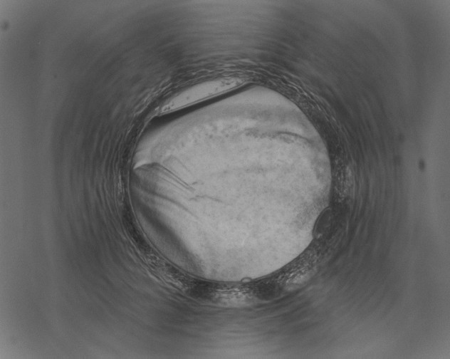 X0000077320704200611031705