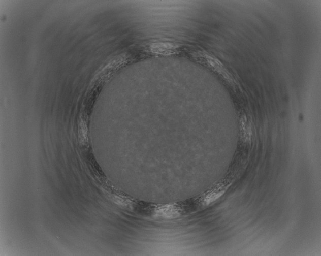 X0000077320705200611031705