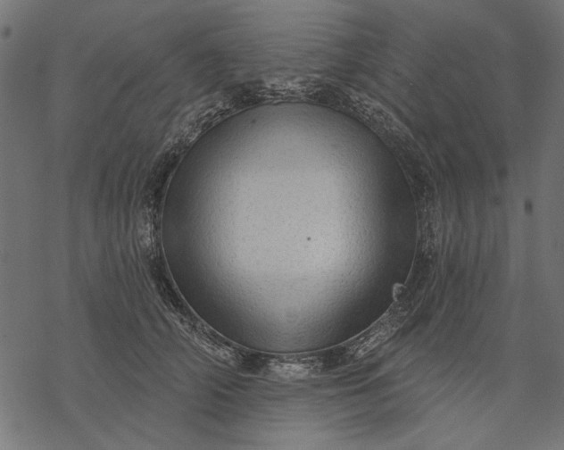 X0000077320706200611031705