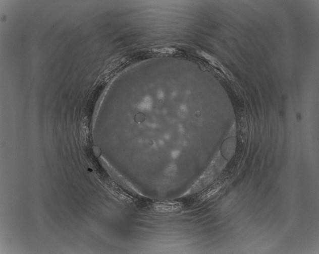 X0000077320707200611031705