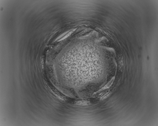 X0000077320708200611031705