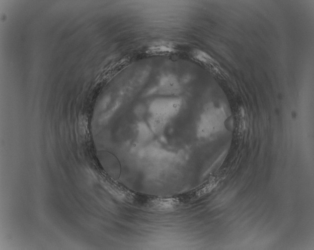 X0000077320711200611031705